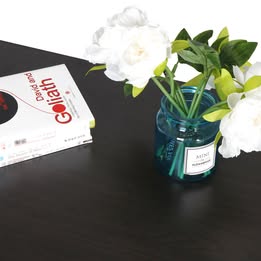 Lift-up Coffee Table with Hidden Storage Compartment
