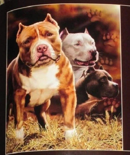 Pitbull Fleece Throw Blanket