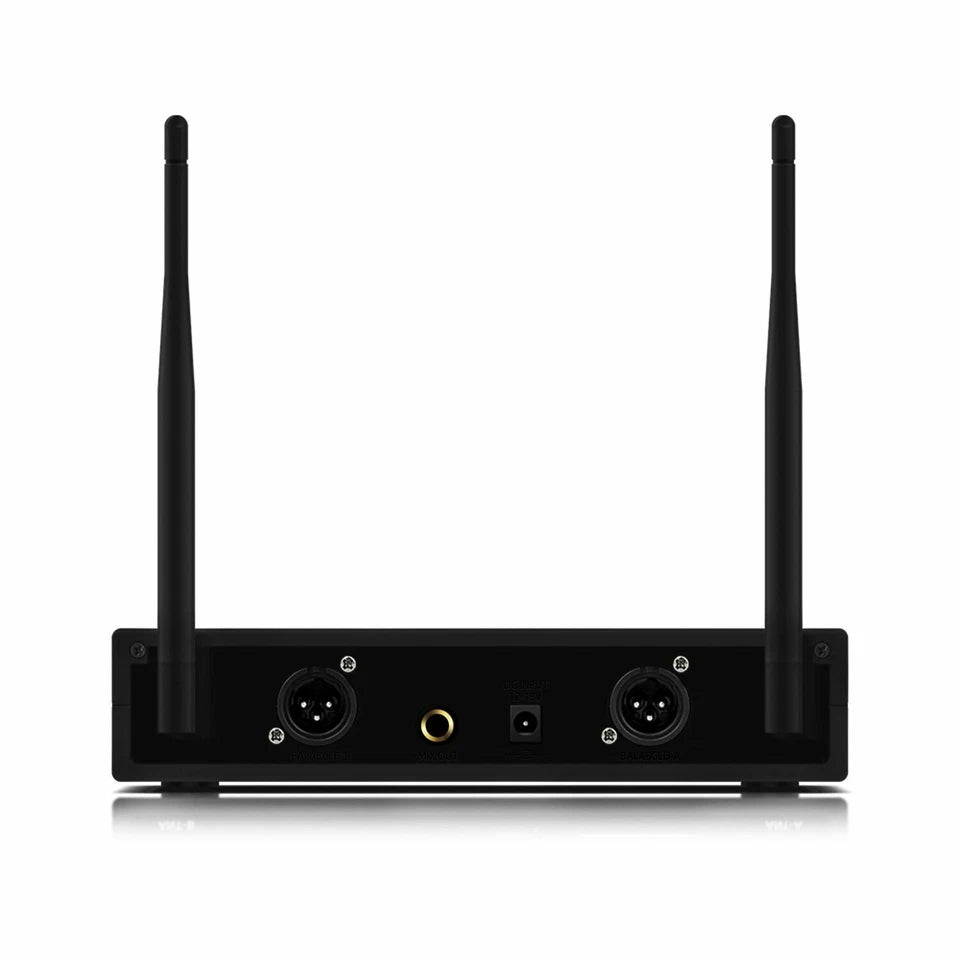 Professional Dual Wireless Microphone Kit w/ Wireless Receiver